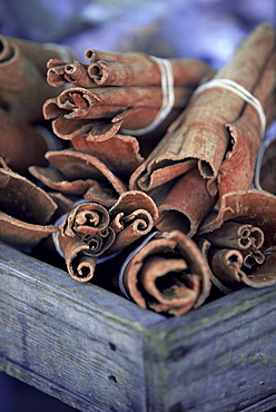 Cinnamon sticks at the market, Fort de France, island of Martinique, Lesser Antilles, French West Indies, Caribbean, Central America