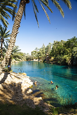 The Sachne, Gan Hashlosha National Park, Beit Shean, Israel, Middle East