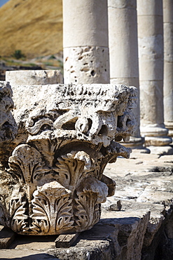 Ruins of the Roman-Byzantine city of Scythopolis, Tel Beit Shean National Park, Beit Shean, Israel, Middle East 