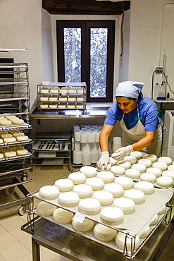 The goat farm for cheese making at the Slow Food Presidium of the Robiola Roccaverano, Piedmont, Italy, Europe