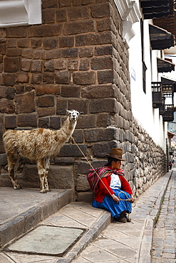 Quechua woman with llama along an Inca wall in San Blas neighborhood, Cuzco, Peru, South America