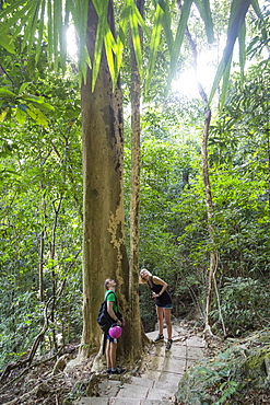 Mu Ko Lanta National Park, Ko (Koh) Lanta, Thailand, Southeast Asia, Asia