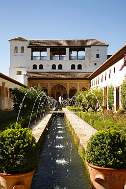 Generalife Gardens, Alhambra Palace, UNESCO World Heritage Site, Granada, Andalucia, Spain, Europe