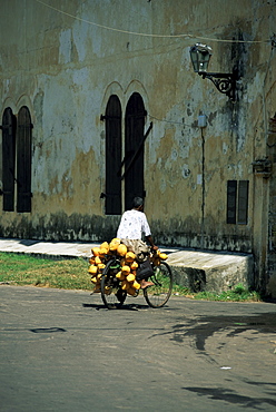 Coconut seller riding his bicycle, Galle, Sri Lanka, Asia