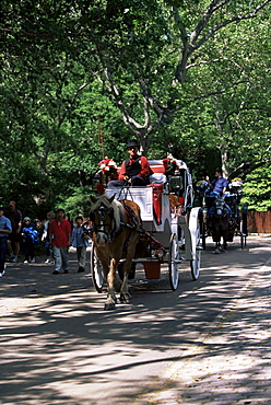 Horse drawn carriage in Central Park, Manhattan, New York, New York State, United States of America, North America