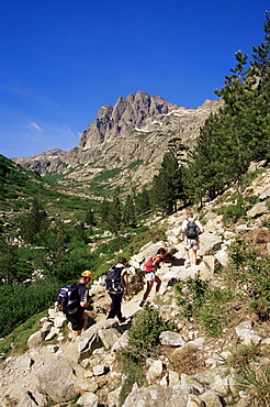 Gorges de la Restonica, Bergeries de Grotelle, Corsica, France, Europe