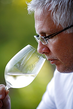 Man tasting white wine, Mendoza, Argentina, South America