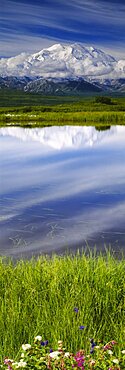 Reflection of snowcapped mountains in a pond, Mt McKinley, Denali National Park, Alaska, USA