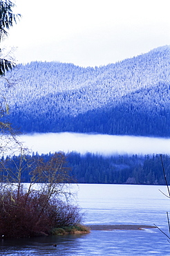 Lake Quinault, Olympic National Park, UNESCO World Heritage Site, Washington State, United States of America (U.S.A.), North America