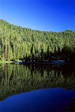 Reflection of alpine evergreens, Boulder Lake, Olympic National Park, UNESCO World Heritage Site, Washington State, United States of America (U.S.A.), North America