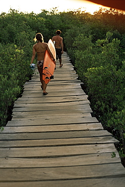 Boardwalk to surf from Cabinas las Olas, Avellanas Beach, Guanacaste State, northwest, Costa Rica, South America