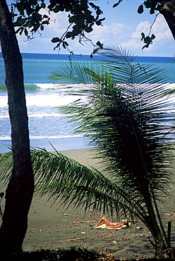 Beach tan on the Pacific Ocean, Corcovado National Park, Peninsula de Osa, Costa Rica, Central America