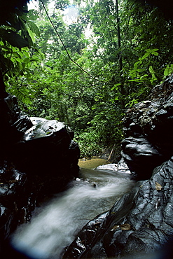 Stream near Blanchisseuse Beach, northern coast, Trinidad, West Indies, Central America