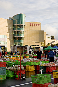 Fruit and vegetable market on a Sunday morning outside Te Papa, The Museum of New Zealand, Wellington, North Island, New Zealand, Pacific