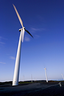 Windmills on a windfarm overlooking Palmerston North, Manawatu, North Island, New Zealand, Pacific