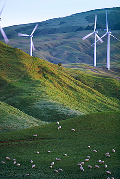 Te Apiti Wind Farm, Palmerston North, Manawatu, North Island, New Zealand, Pacific