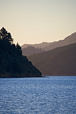 Marlborough Sounds, South Island, New Zealand, Pacific