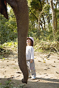 Two year old girl and the elephant that will take her on safari, at the Island Jungle Resort hotel, Royal Chitwan National Park, Terai, Nepal, Asia