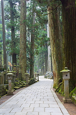 Entrance Path (Sando), Okunoin graveyard, site of 20000 Buddhist gravestones, Koya-san, Kansai (Western Province), Honshu, Japan, Asia