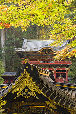 Taiyu-in Mausoleum, Nikko, Central Honshu (Chubu), Japan, Asia