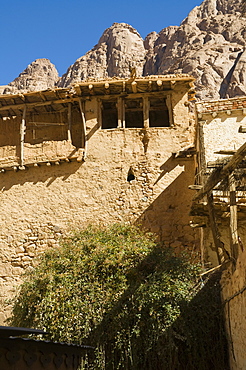 The Burning Bush, Monastery of St. Catherine, UNESCO World Heritage Site, Sinai, Egypt, North Africa, Africa