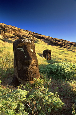 Moais, Cantera Rano Raraku, Easter Island (Rapa Nui), Chile, South America