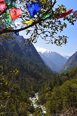 View of Langtang Valley, Langtang National Park, Bagmati, Central Region (Madhyamanchal), Nepal, Himalayas, Asia