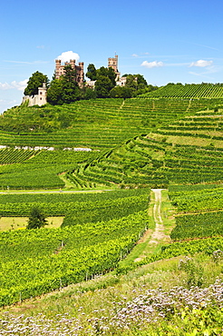 Ortenberg Castle, Ortenberg, Ortenau, Baden-Wurttemberg, Germany, Europe