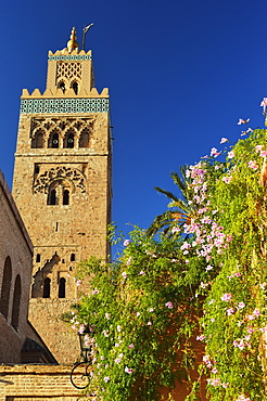 Koutoubia Mosque, Marrakesh, Morocco, North Africa, Africa