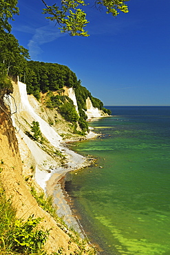 Chalk cliffs, Jasmund National Park, Ruegen Island (Rugen Island), Mecklenburg-Vorpommern, Germany, Baltic Sea, Europe 