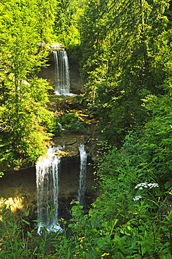 Scheidegg Waterfalls Nature Park, Scheidegg, Bavaria, Germany, Europe 