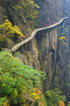 Footpath along rock face, Xihai (West Sea) Valley, Mount Huangshan (Yellow Mountain), Anhui Province, China, Asia