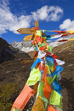 Prayer flags, Yading Nature Reserve, Sichuan Province, China, Asia