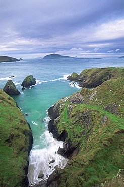 Coast at Slea Head and the Blasket Islands, County Kerry, Munster, Eire (Republic of Ireland), Europe