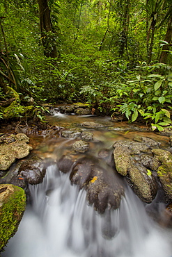 Waterfall, Semuc Champey, Guatemala, Central America