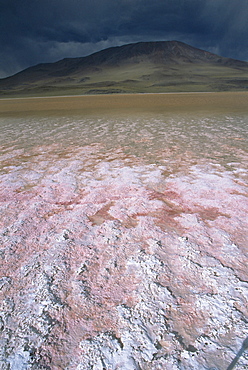 Landscape, Laguna Colorada, Bolivia, South America