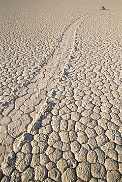 Devils Racetrack, Death Valley National Park, California, United States of America, North America