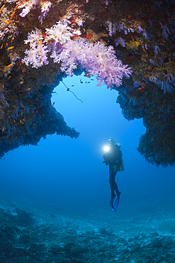 Scuba Diver explores Cave, North Male Atoll, Maldives