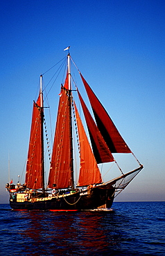 Sailing Ship, Tall Ship Adelaar, Indonesia, Indian Ocean, Komodo National Park