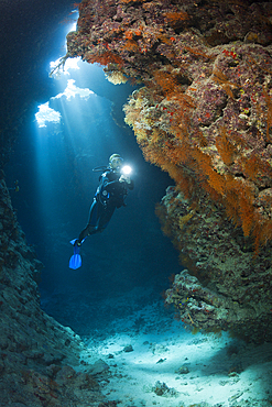 Scuba Diver inside Cave, Cave Reef, Red Sea, Egypt