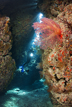 Scuba Diver inside Cave, Cave Reef, Red Sea, Egypt