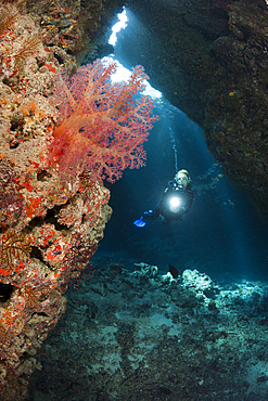 Scuba Diver inside Cave, Cave Reef, Red Sea, Egypt