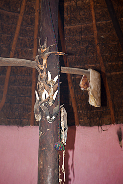 Utensils of Xhosa Sangoma Medicine Man, Wild Coast, Eastern Cap, South Africa