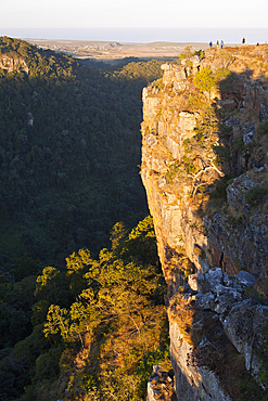 Valley at Wild Coast, Mbotyi, Eastern Cap, South Africa