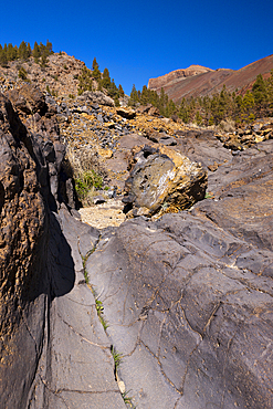 Hiking Tour to Paisaje Lunar near Vilaflor, Tenerife, Canary Islands, Spain