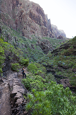 Masca Gorge Hiking Tour, Tenerife, Canary Islands, Spain