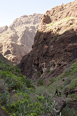 Masca Gorge Hiking Tour, Tenerife, Canary Islands, Spain