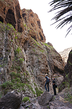 Masca Gorge Hiking Tour, Tenerife, Canary Islands, Spain