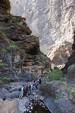 Tourists hiking through Masca Gorge, Tenerife, Canary Islands, Spain