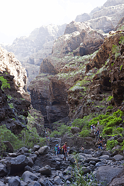 Tourists hiking through Masca Gorge, Tenerife, Canary Islands, Spain